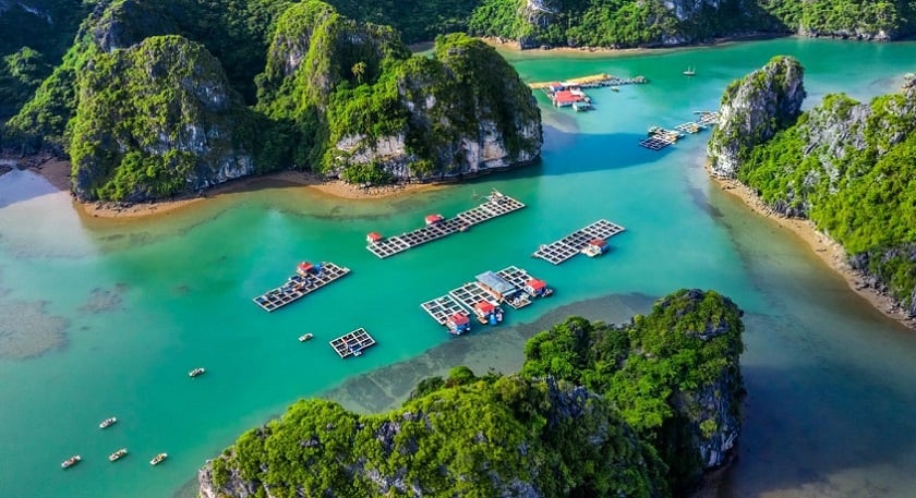 Bai Tu Long Bay