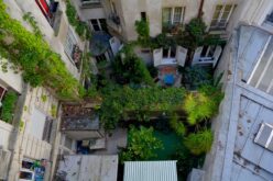 Urban Gardening Ideas: How to Grow Your Own Oasis in the City